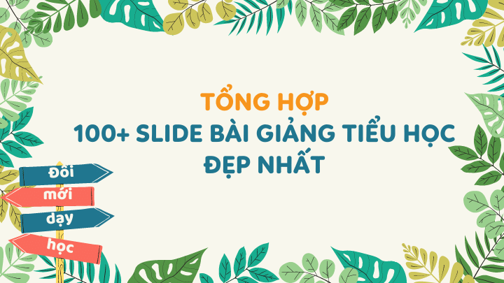 Tổng hợp slide bài giảng đẹp nhất cho giáo viên